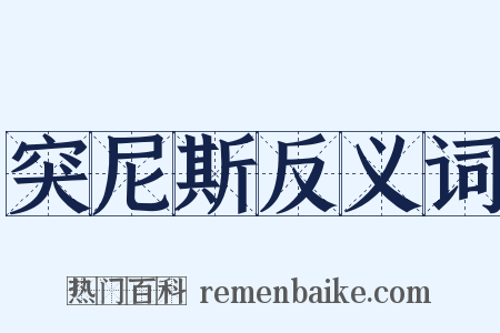 突尼斯反义词是什么意思的图片